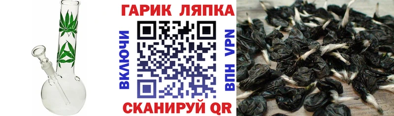 маркетплейс формула  Чита  ГАШИШ Ice-O-Lator 