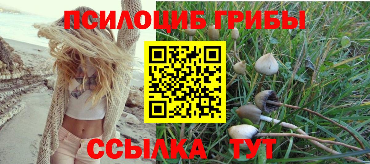 Галлюциногенные грибы ЛСД  сколько стоит  Чита 