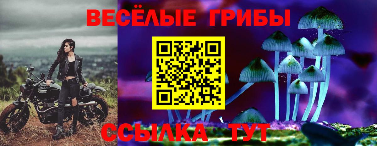 Псилоцибиновые грибы GOLDEN TEACHER Чита