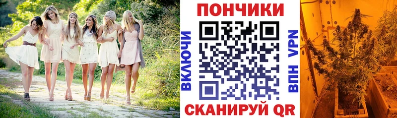 блэк спрут tor Чита Марихуана THC 21%